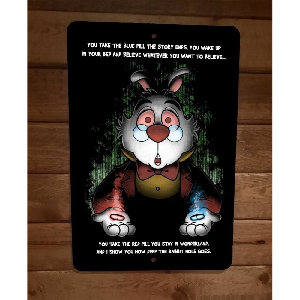 Take The Red or Blue Pill 8x12 Metal Wall Sign Rabbit Hole Matrix